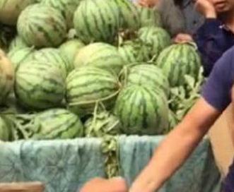 西昌吃瓜事件网红,网红引发的网络狂欢与反思  第2张